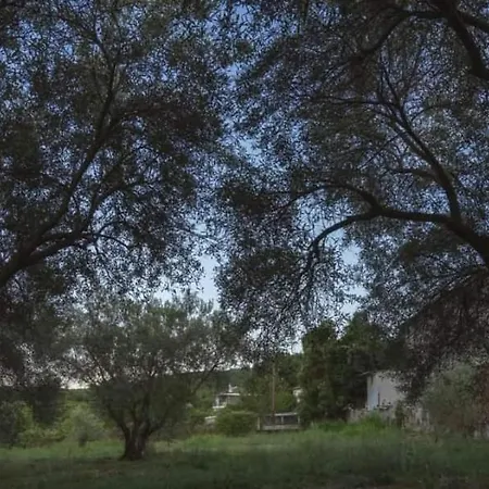 Gurba's House Apartman *