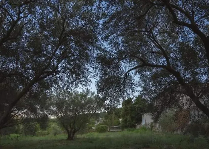 Gurba's House Apartman *